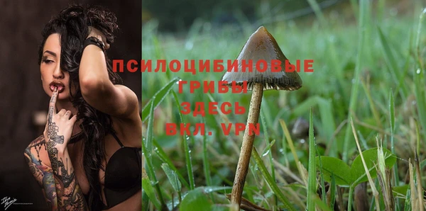 молекула духа Абаза