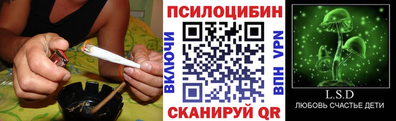 Галлюциногенные грибы GOLDEN TEACHER Златоуст