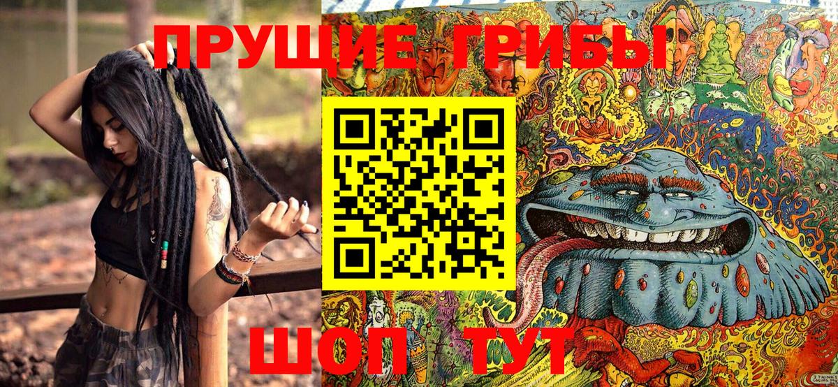 Галлюциногенные грибы MAGIC MUSHROOMS  Вход с VPN  Златоуст 